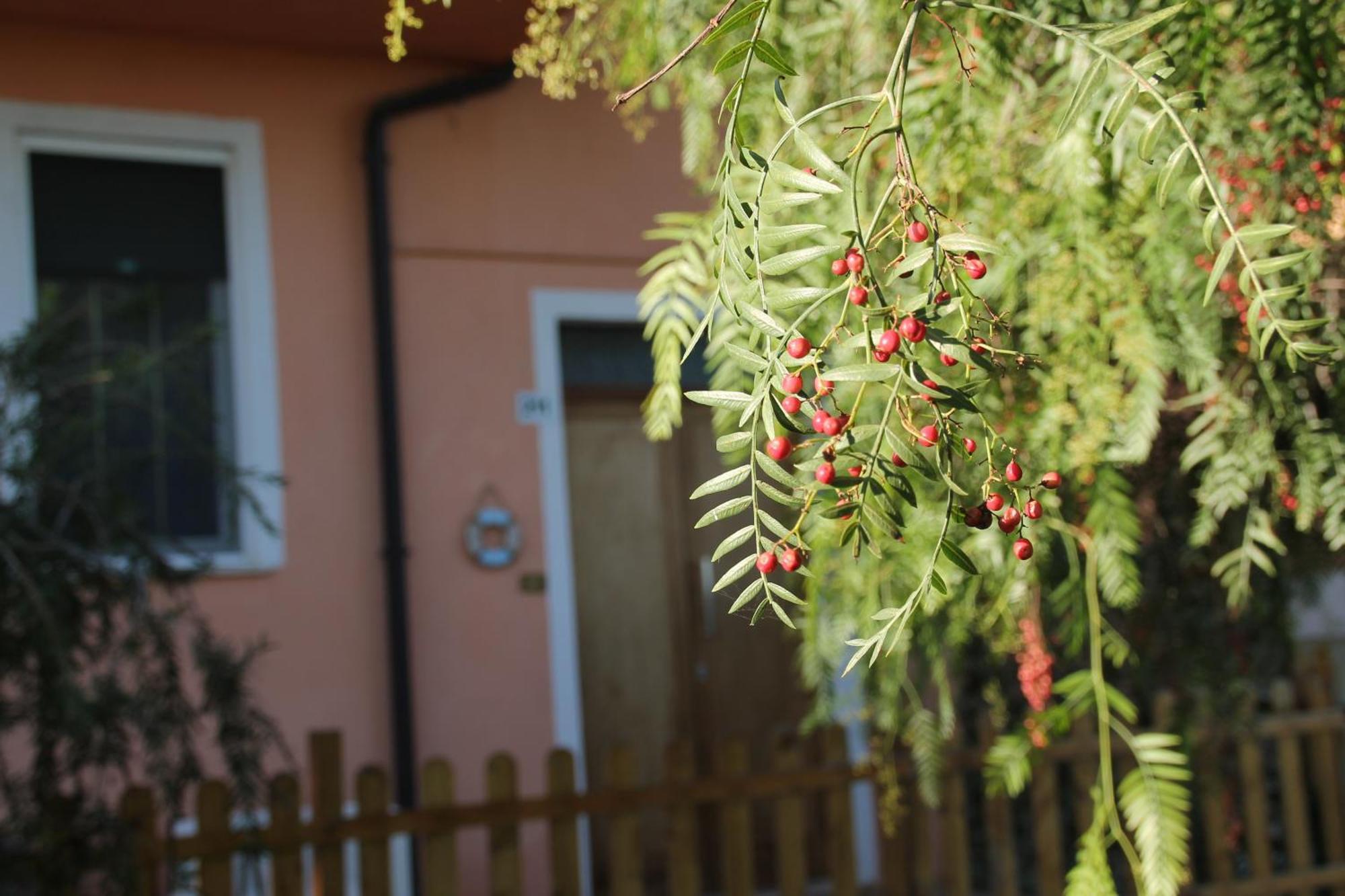 Pepe Rosa Termoli Exterior foto