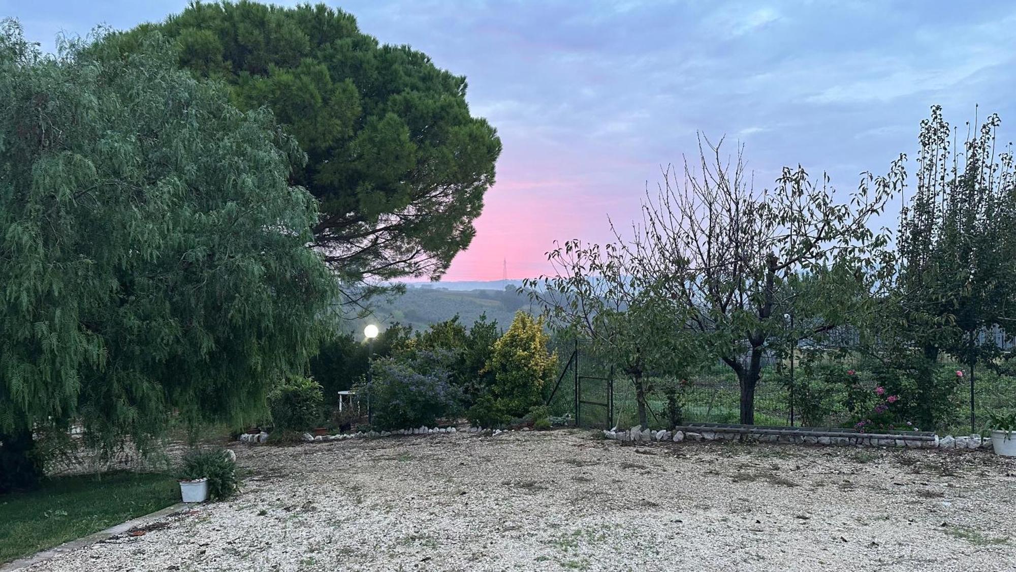 Pepe Rosa Termoli Exterior foto