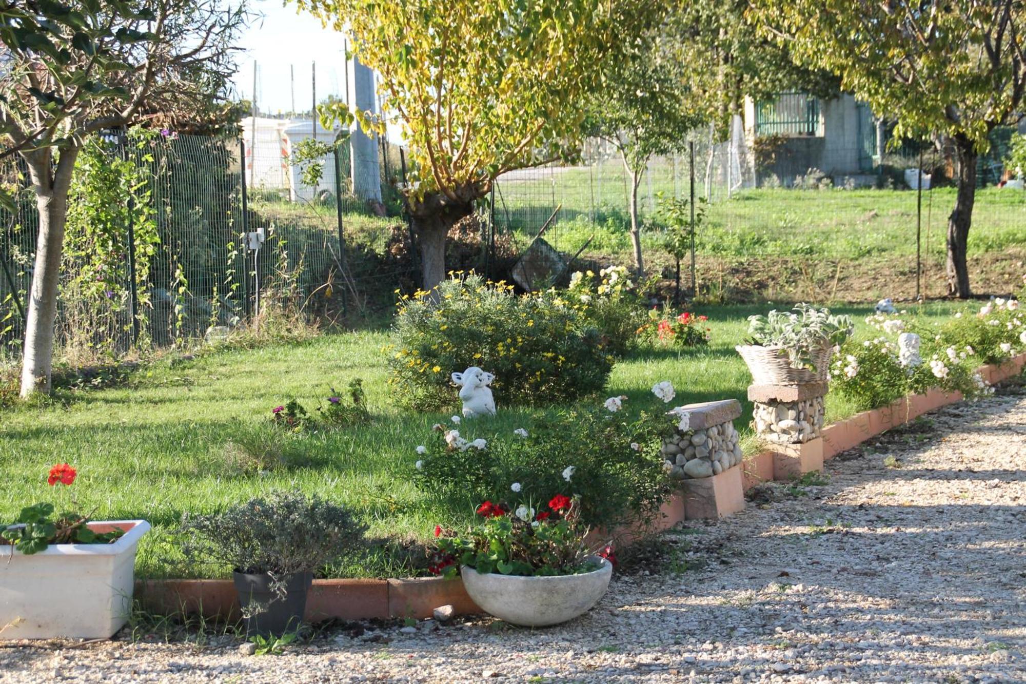 Pepe Rosa Termoli Exterior foto
